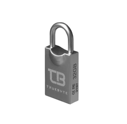 فلش مموری 32 گیگابایت تروبایت مدل Truebyte T2 با گارانتی مادام العمر شرکتی